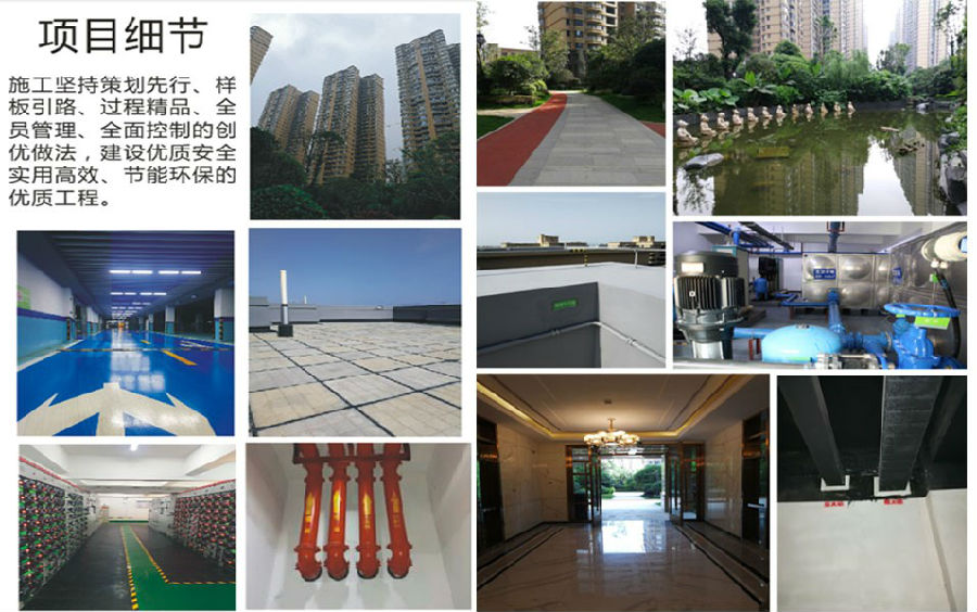 20250219238439.jpg 3095540115.jpg